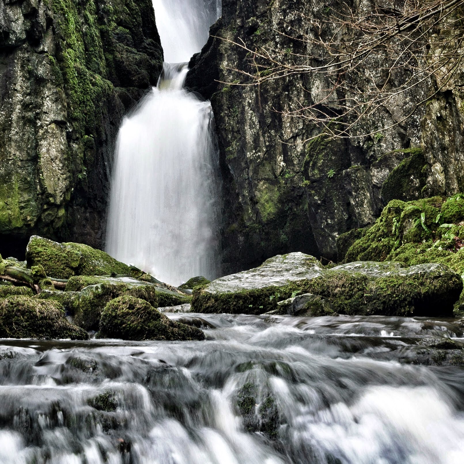 Catrigg Force